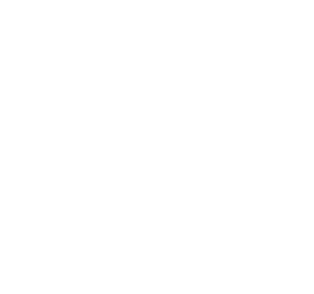 Management Team